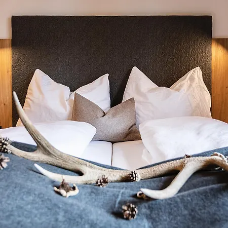 Bergseegut Und Apartmán Wagrain